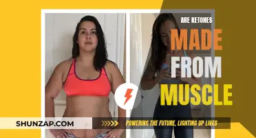 Ketones: Muscle-Derived or Fat-Derived?
