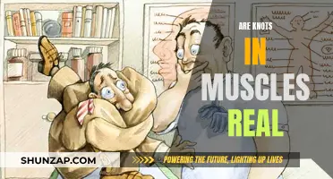 Knots in Muscles: Fact or Fiction?