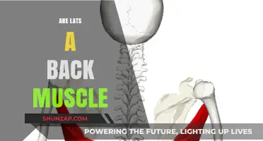 Unraveling the Myth: Are Lats Truly a Back Muscle?