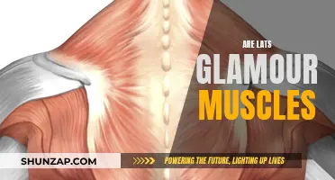 Lats: The Ultimate Glamour Muscles for a V-Shaped Torso
