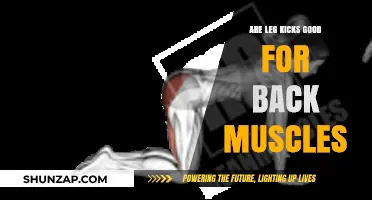 Leg Kicks and Back Strength: Unlocking Surprising Muscle Benefits