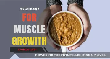 Lentils for Muscle Growth: Unlocking Plant-Based Protein Power