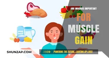 Macros and Muscle Gain: Unlocking the Key to Optimal Growth