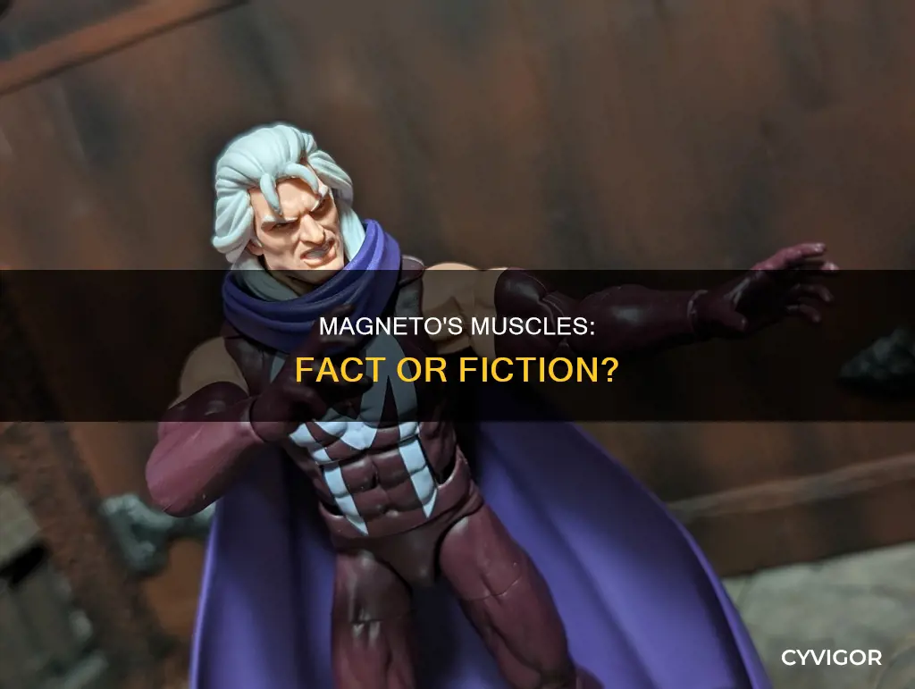 are magneto