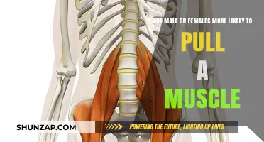 Gender Differences in Muscle Strains: Who's More Prone to Injury?
