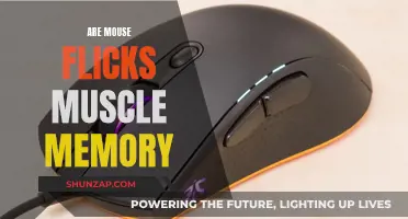 Mastering Mouse Flicks: Muscle Memory or Mindful Practice?