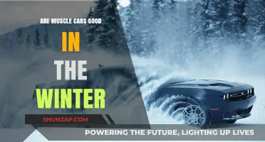 Muscle Cars in Winter: Performance, Handling, and Safety Explained