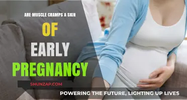 Early Pregnancy Symptoms: The Truth About Muscle Cramps