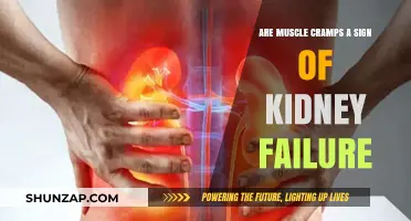 Could Muscle Cramps Be an Indicator of Kidney Failure?