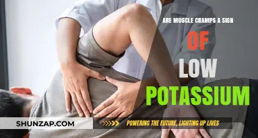 Potassium Deficiency: The Hidden Culprit Behind Your Muscle Cramps