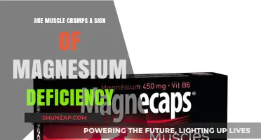 Could Your Muscle Cramps Indicate a Magnesium Deficiency?