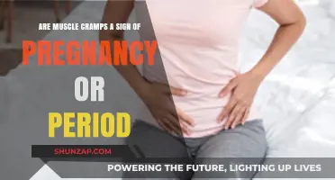 Decoding Muscle Cramps: Pregnancy or Period Symptom?