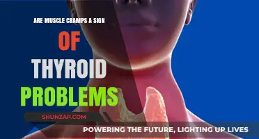Could Your Muscle Cramps Be Linked to Thyroid Issues?