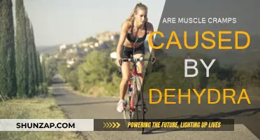Dehydration and Muscle Cramps: Is There a Link?
