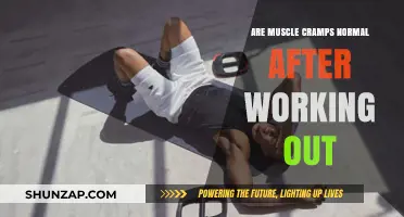 Are Post-Workout Muscle Cramps Normal? Understanding Causes and Remedies
