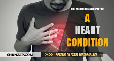 Understanding Muscle Cramps: A Potential Indicator of Heart Conditions