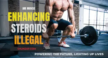 Muscle-Enhancing Steroids: Legal or Illegal?