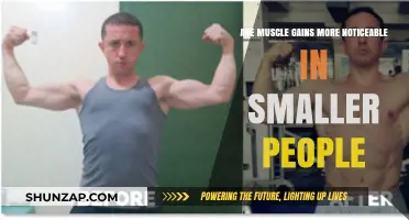 Muscle Gains: Are They More Visible on Smaller Frames?