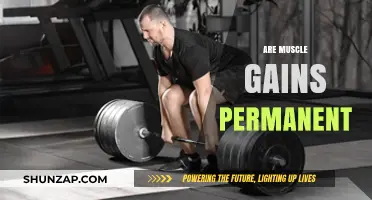 Are Muscle Gains Permanent? Understanding Muscle Memory and Retention