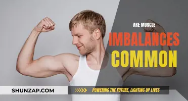 Muscle Imbalances: A Common Issue for Many?