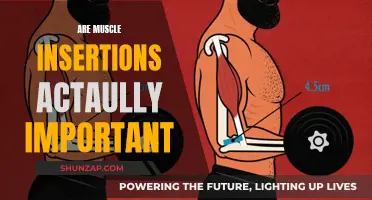 Muscle Insertions: Are They Really Worth Your Attention?
