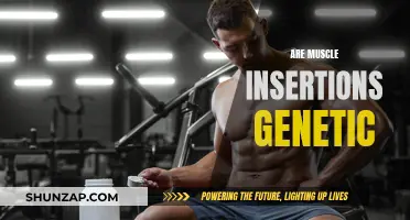Muscle Insertions: Nature's Genetic Blueprint for Physique