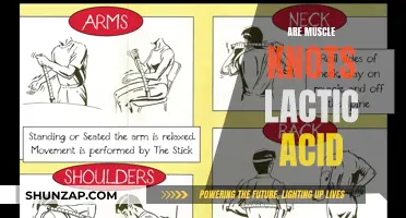 Muscle Knots: Lactic Acid or Something Else?