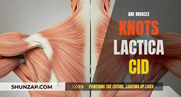 Muscle Knots and Lactic Acid: What's the Connection?