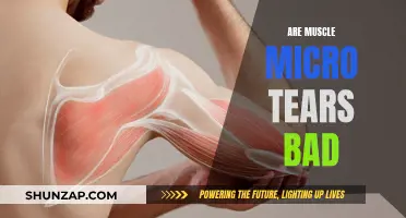 Micro-Tears: The Good and Bad of Muscle Recovery