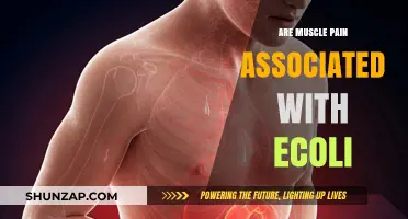 Exploring the Link Between E. Coli Infections and Muscle Pain