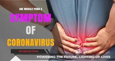 Muscle Pains and COVID-19: Unraveling the Connection and Symptoms