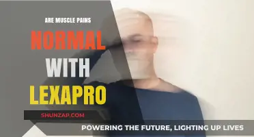 Is Muscle Pain a Common Side Effect of Lexapro?