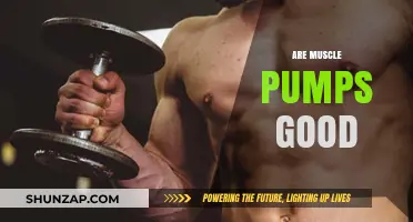 Muscle Pumps: Benefits, Myths, and Their Role in Fitness Progress