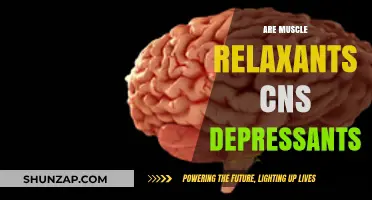 Muscle Relaxants and CNS Depressants: Understanding Their Connection