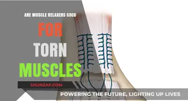 Muscle Relaxers for Torn Muscles: Effective Treatment or Risky Choice?