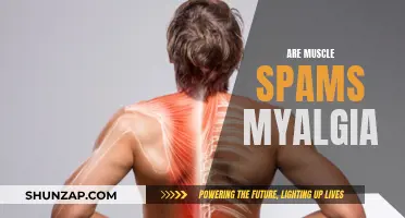 Understanding Muscle Spasms and Their Link to Myalgia