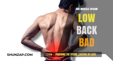 Understanding Muscle Spasms in the Lower Back: Causes and Treatments