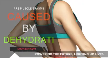 Dehydration and Muscle Spasms: What's the Real Link?