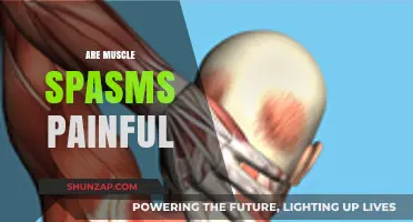 Are Muscle Spasms Painful? Understanding Causes, Symptoms, and Relief