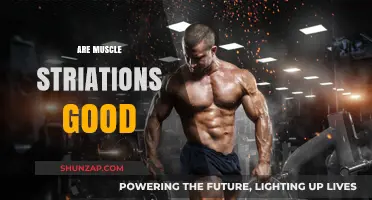 Are Muscle Striations Good? Unveiling the Truth Behind Visible Definition