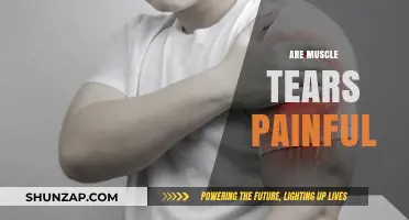 Muscle Tears: Understanding the Pain and Recovery Process