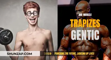 The Intriguing Link Between Trapizes and Genetics