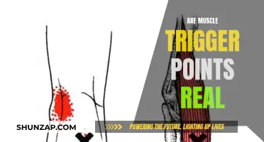Trigger Points: Mystery of Muscle Pain