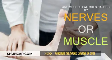 Understanding Muscle Twitch Causes: Nerves or Muscles?