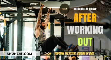 Post-Workout Muscle Growth: Understanding Size Changes After Exercise