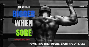 Muscle Soreness and Size: Debunking the Bigger When Sore Myth