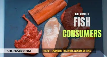 Muscle-Bound Fish: Unveiling an Unlikely Consumer Relationship