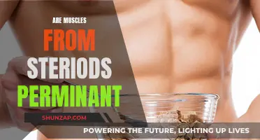 Steroid Muscles: Permanent or Not?