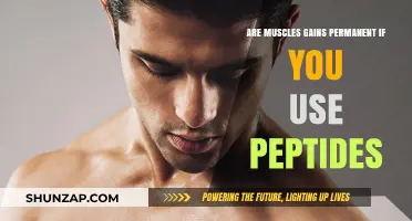 Peptides and Muscle Gains: Are Your Results Truly Permanent?