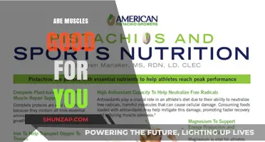 Muscles: Unlocking Health, Strength, and Longevity Benefits Explained